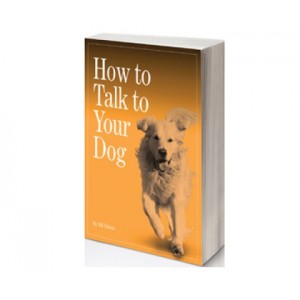How to Talk to Your Dog